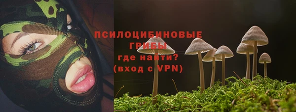 стафф Карталы