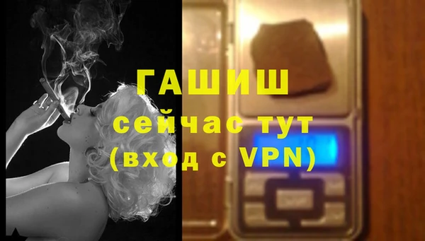 мяу мяу мука Елабуга
