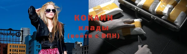 2c-b Ельня