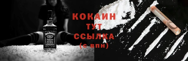 2c-b Ельня