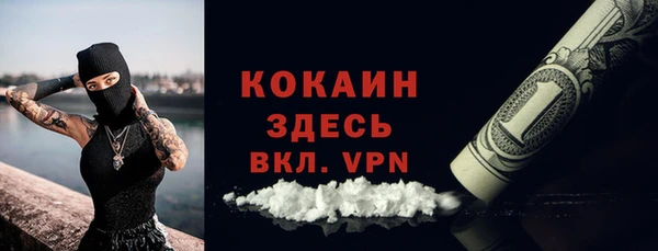 мяу мяу мука Елабуга
