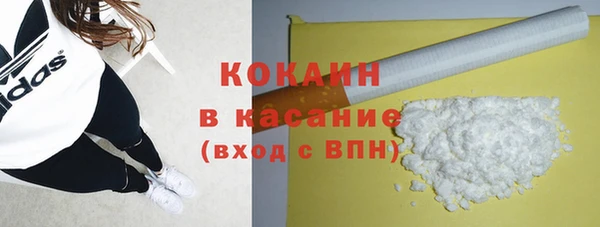 2c-b Ельня