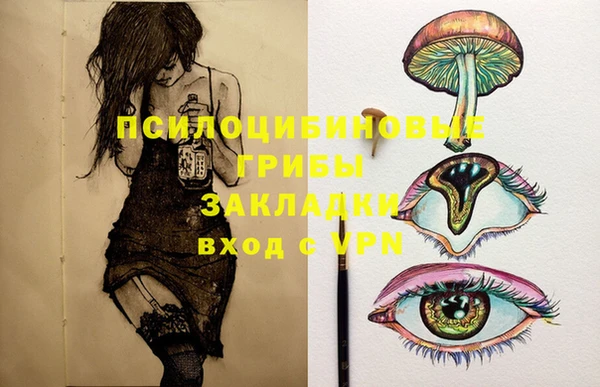 2c-b Ельня