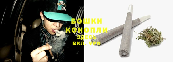 мяу мяу мука Елабуга