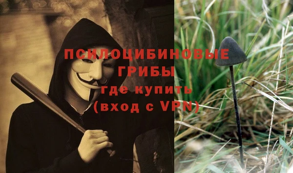 мдма Елизово