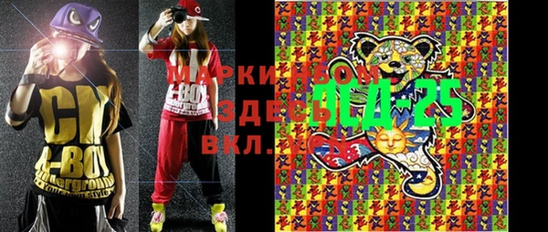2c-b Ельня