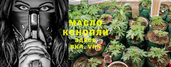 мяу мяу мука Елабуга