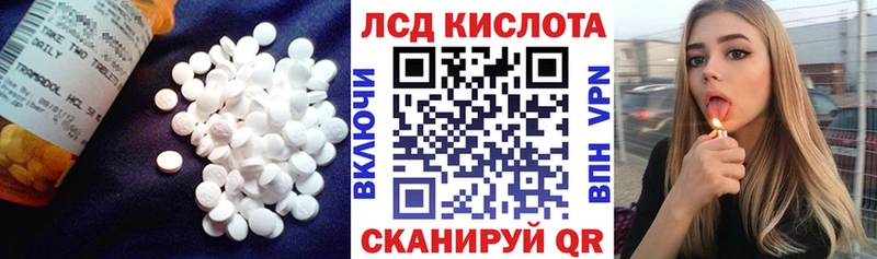 где купить наркоту  Менделеевск  ЛСД экстази ecstasy 