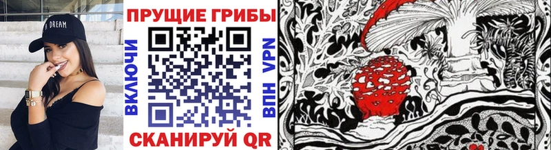 Псилоцибиновые грибы мицелий  где продают   Менделеевск 